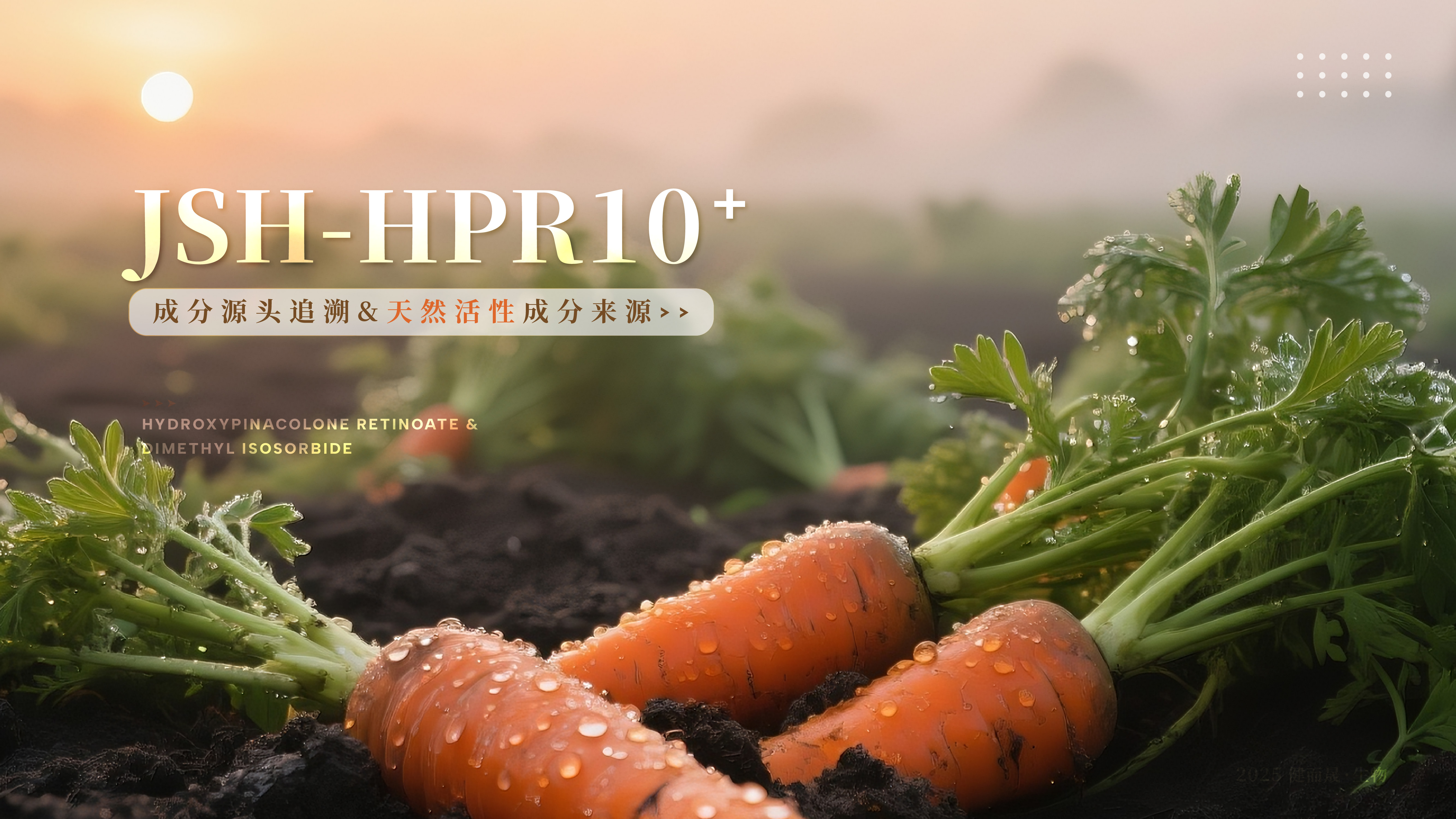 羟基频哪酮视黄酸酯-HPR10